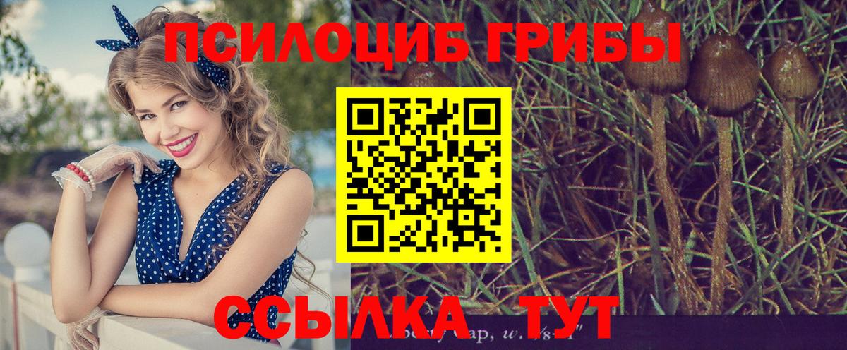 Галлюциногенные грибы мухоморы Сергиев Посад